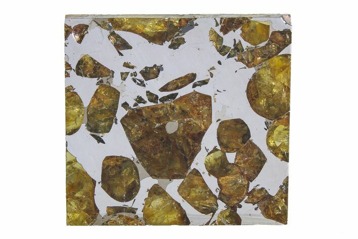 Brahin Pallasite Meteorite ( g) Slice - Belarus #351945